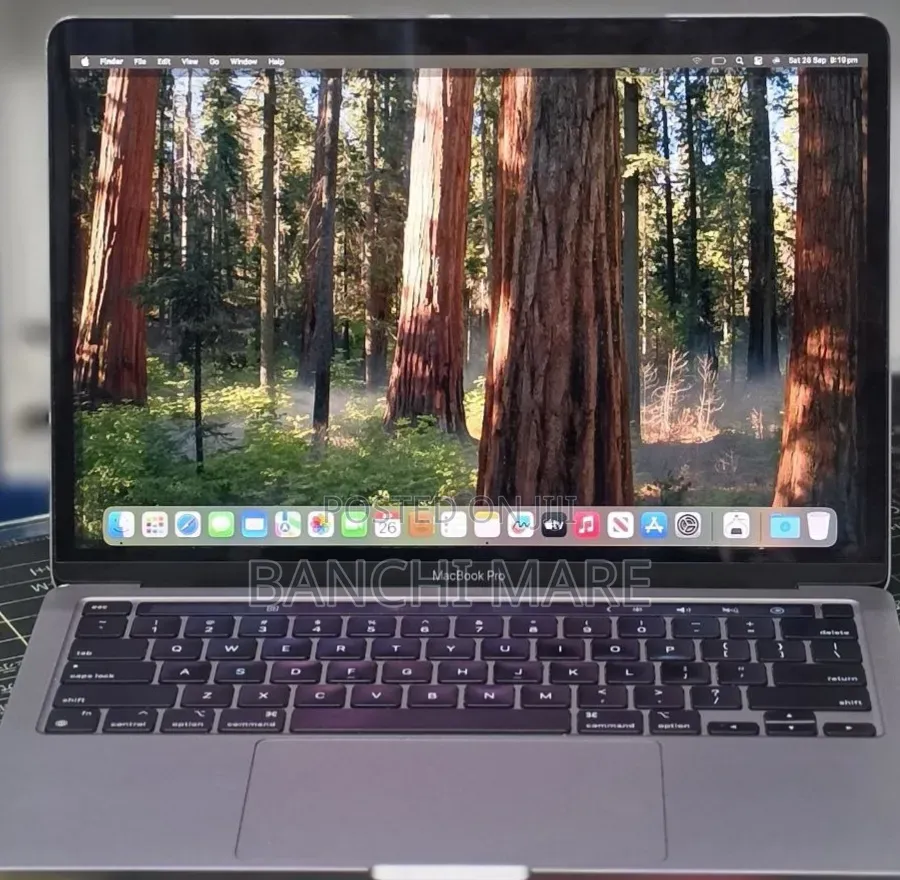 New Laptop Apple MacBook Pro 2020 M1 16GB Apple M1 SSD 256GB