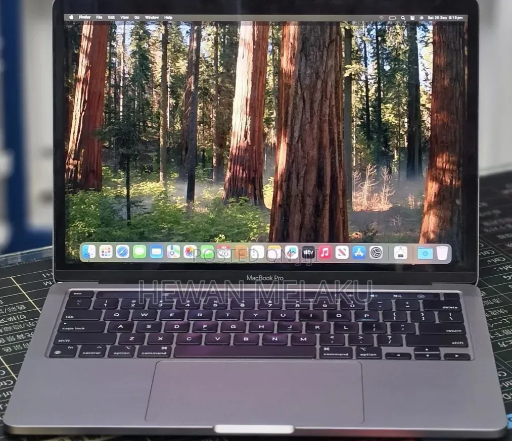New Laptop Apple MacBook Pro 2020 M1 16GB Apple M1 SSD 256GB