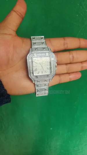 Iced Watch