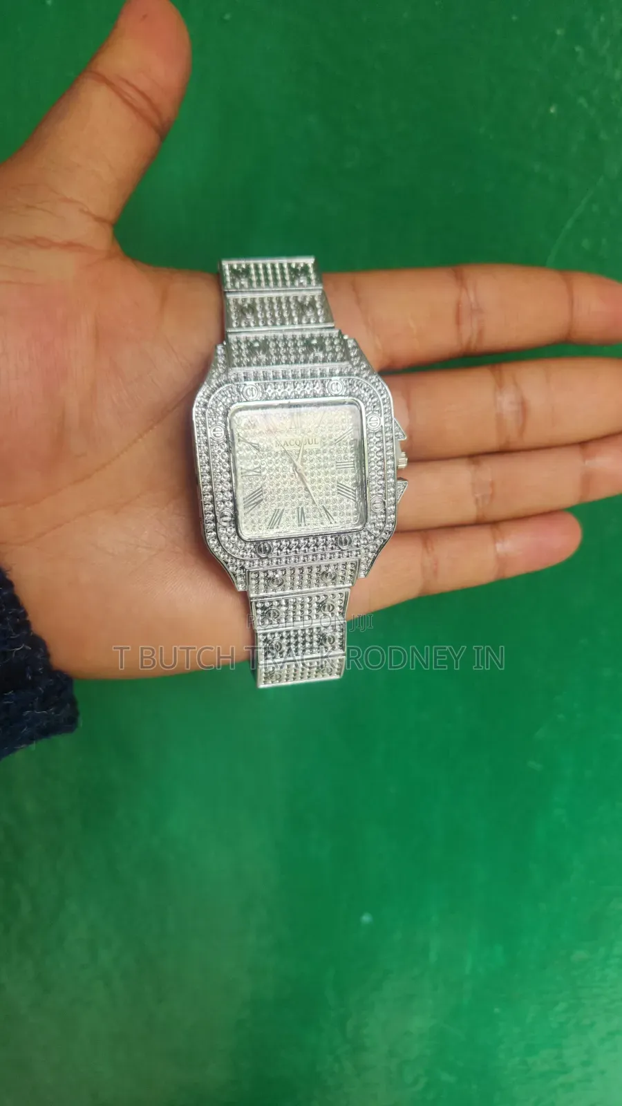 Iced Watch