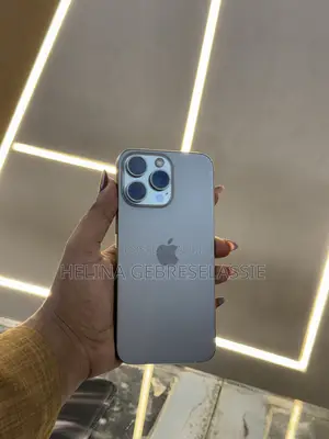 Apple iPhone 15 Pro Max 256 GB Gray