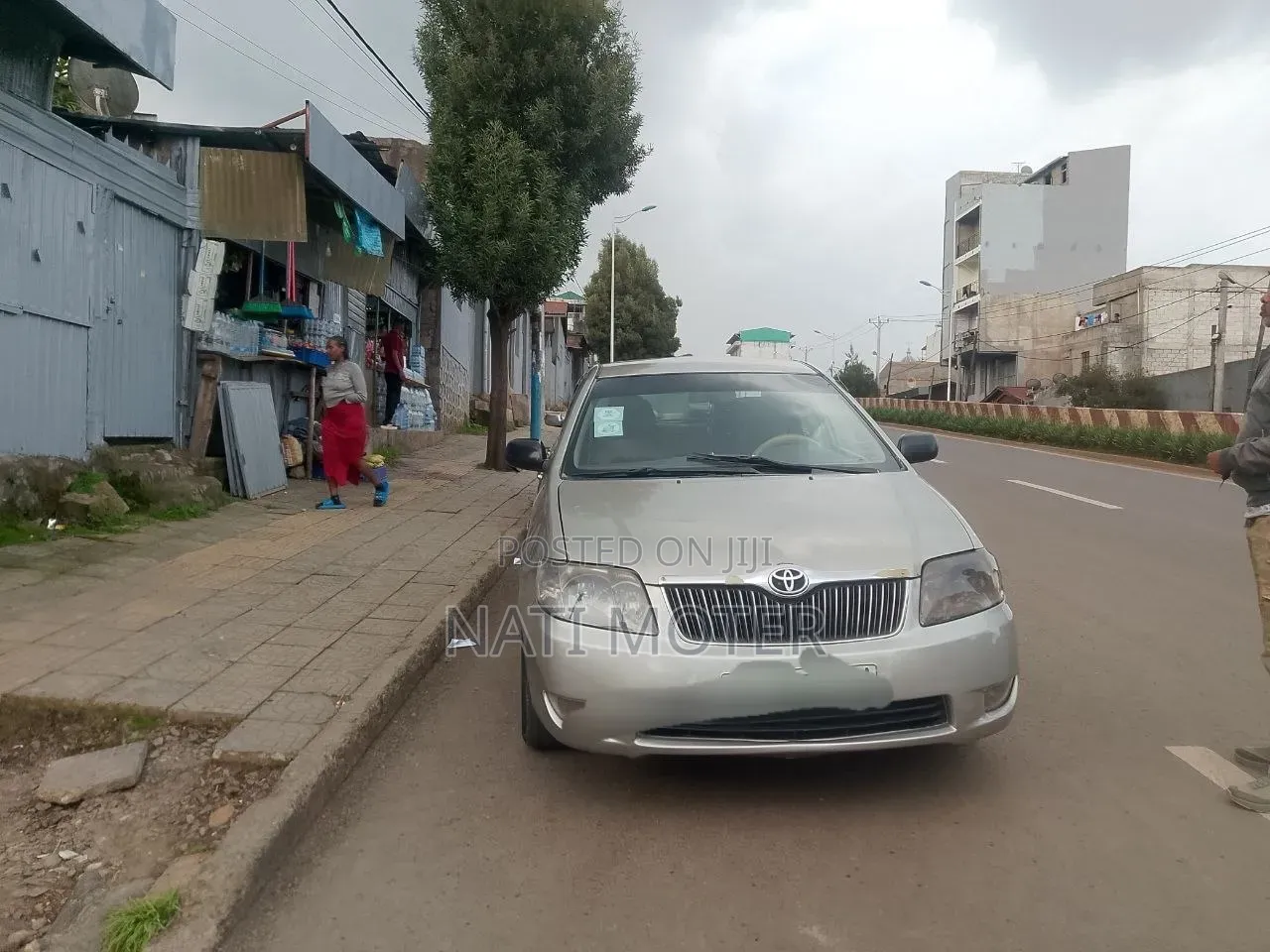 Toyota Corolla Sedan 2003 Gray