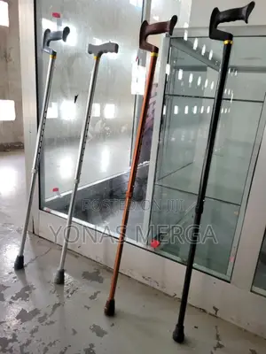 Walking Stick=cane添巉determine the Appropriate Type, Sizing, and Usage