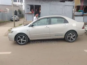 Toyota Corolla Sedan 2003 Gray