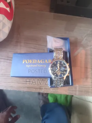 POEDAGAR Top Brand Luxury Men