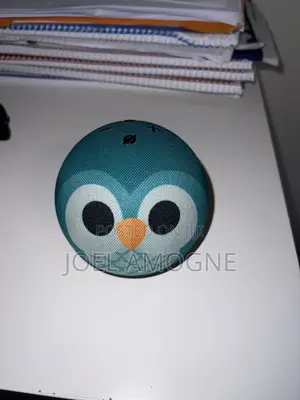 Kids Alexa