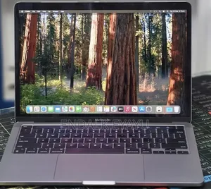 New Laptop Apple MacBook Pro 2020 M1 16GB Apple M1 Pro SSD 256GB