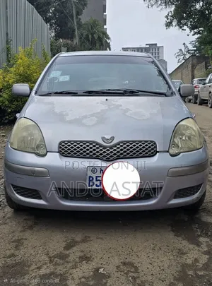 Toyota Vitz 2004 Purple
