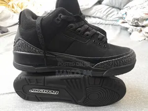 Air Jordan3 Black Cat