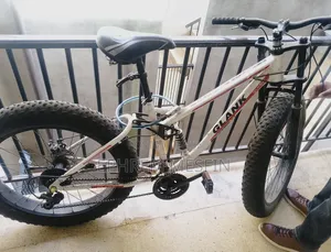 Sport Bicycle