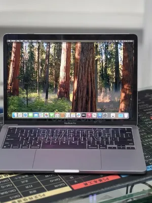 New Laptop Apple MacBook Pro 2020 M1 16GB Apple M1 Pro SSD 256GB