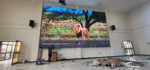 Led Indoor Screen