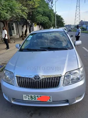 Toyota Corolla 2007 Gray