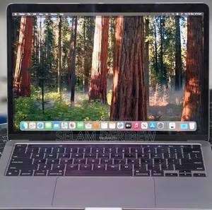 New Laptop Apple MacBook Pro 2020 M1 16GB Apple M1 SSD 256GB