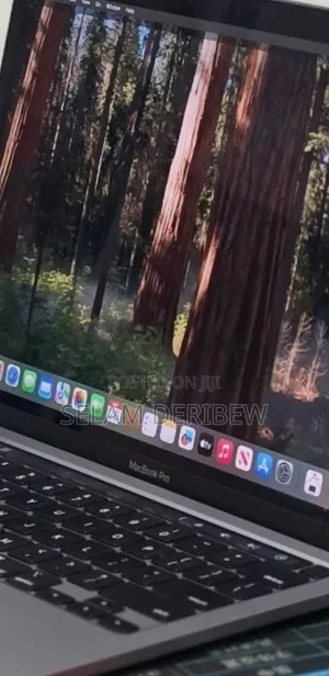 New Laptop Apple MacBook Pro 2020 M1 16GB Apple M1 SSD 256GB