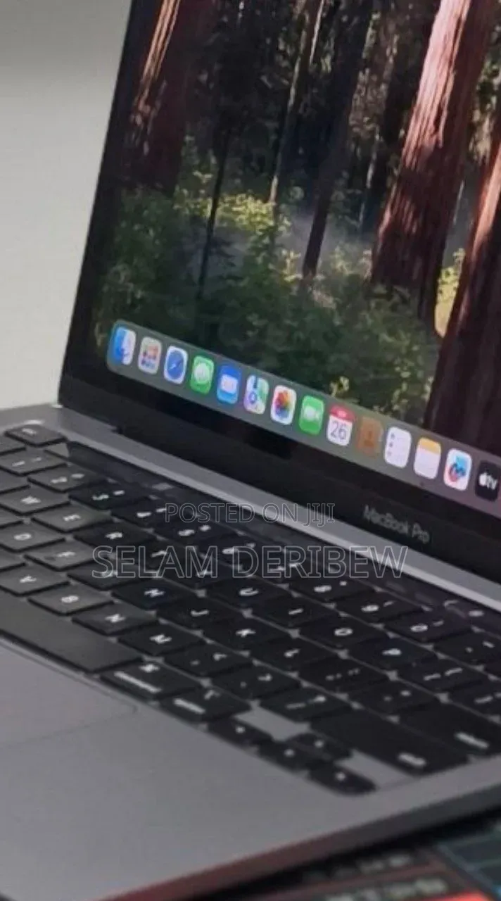 New Laptop Apple MacBook Pro 2020 M1 16GB Apple M1 SSD 256GB