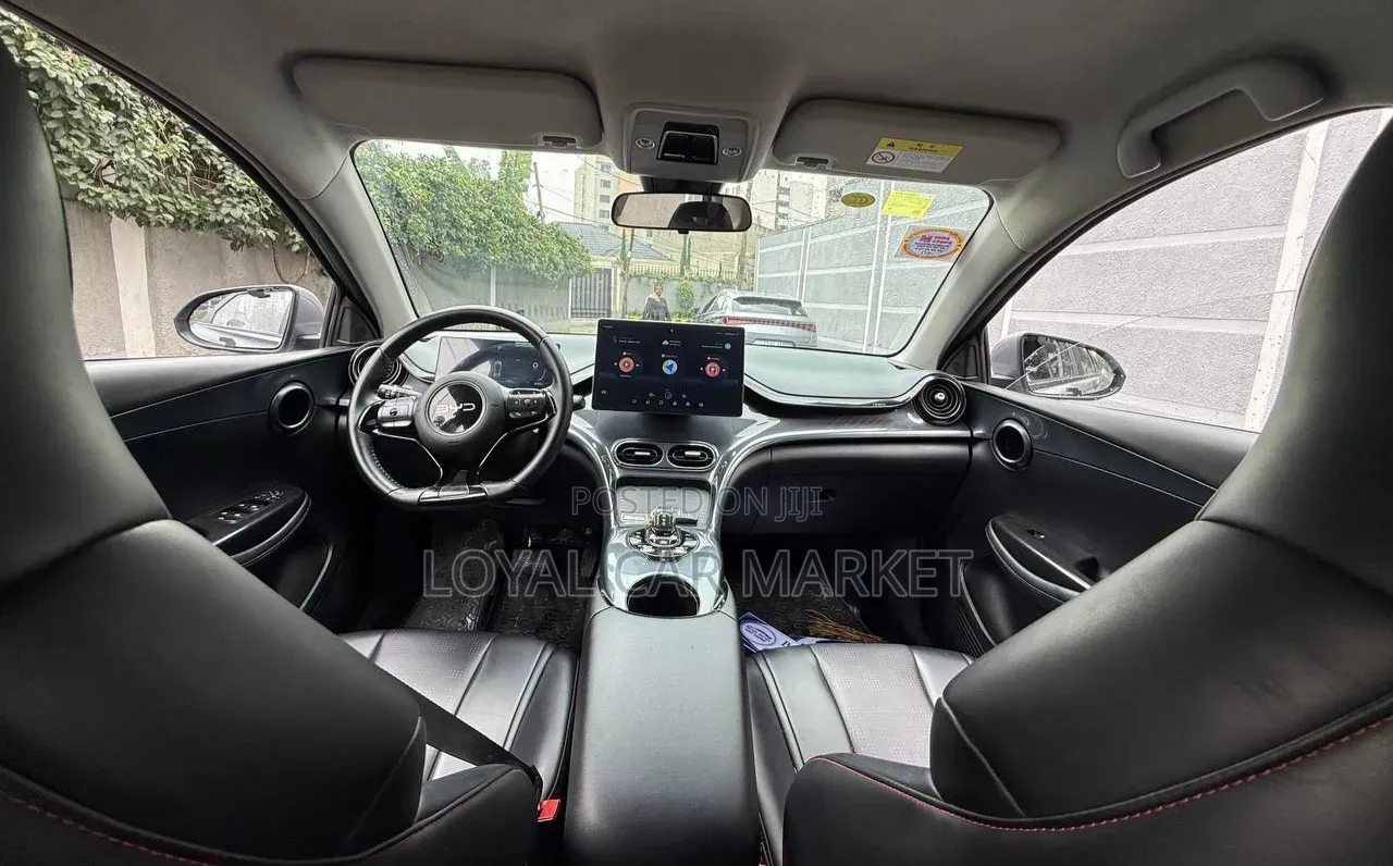 BYD E2 43 kWh 94 hp FWD 2024 Gray