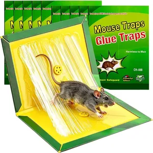 Mouse Glue Trap