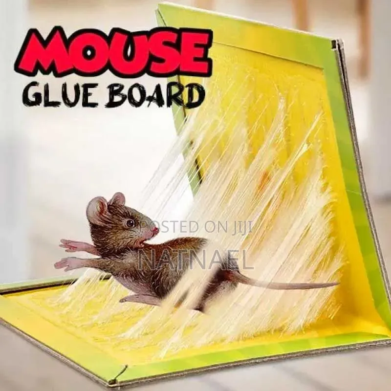 Mouse Glue Trap