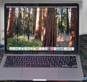 New Laptop Apple MacBook Pro 2021 M1 16GB Apple M1 SSD 256GB