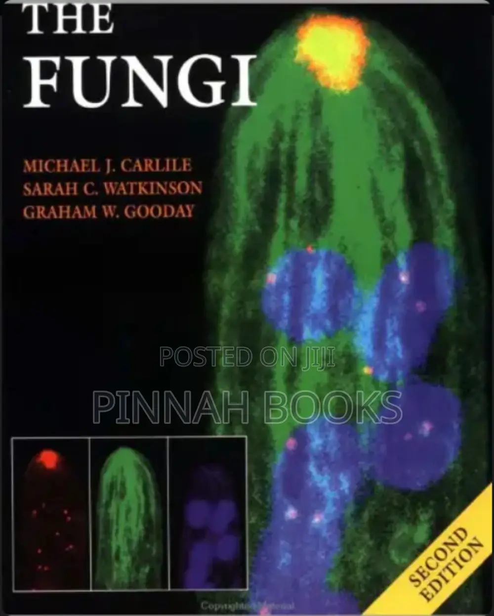 The Fungi by Michael J. Carlile