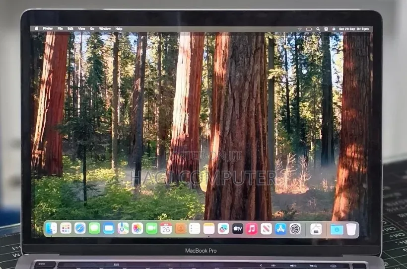 New Laptop Apple MacBook Pro 2020 M1 16GB Apple M1 Pro SSD 256GB