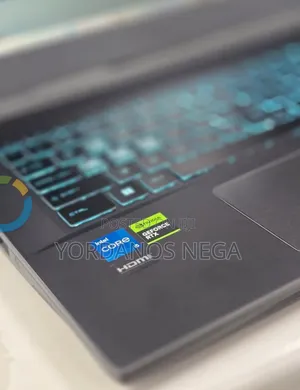 New Laptop MSI GF75 Thin 16GB Intel Core i5 SSD 1T