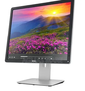 Dell 19" Square LCD Monitor, P1914S. 
- DP(display P1