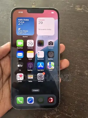 Apple iPhone 13 Pro Max 256 GB Gray