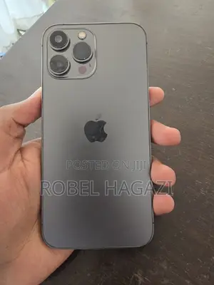 Apple iPhone 13 Pro Max 256 GB Gray