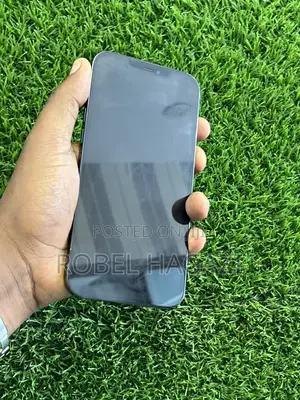 Apple iPhone 13 Pro Max 256 GB Gray