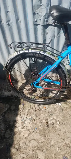 Bike 26 Special Phoenix