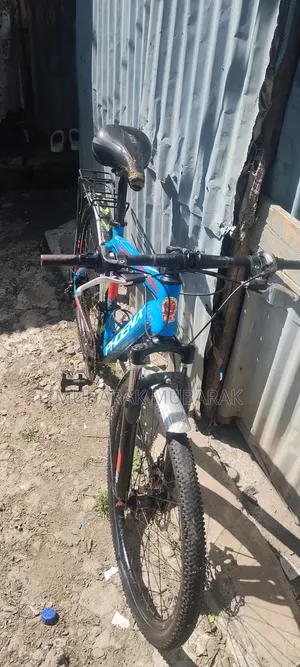 Bike 26 Special Phoenix
