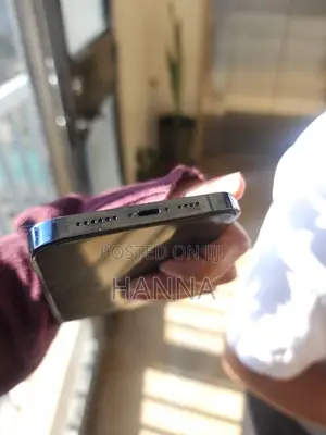 New Apple iPhone 13 Pro Max 256 GB Blue