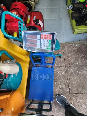 Digital Platform Scale