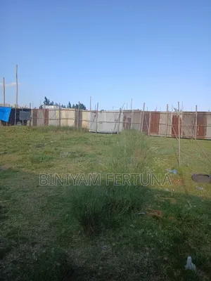 Best Land Menoria Bet Bole Arabesa Katela Mariam