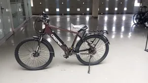 CREEPER ጥራት ያለው ኤሌክትሪክ ሳይክል — Quality CREEPER E-Bike