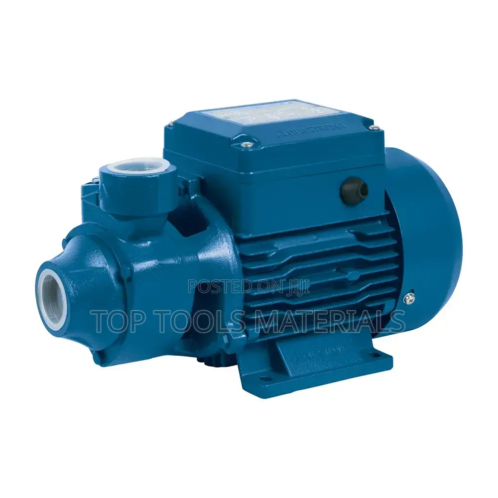 ፡Aquastrong Peripheral Water Pump. [