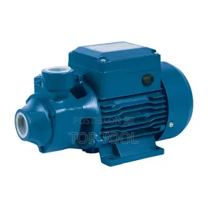፡Aquastrong Peripheral Water Pump. [