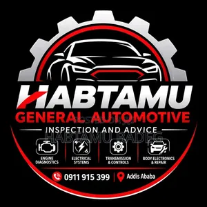 General Automotive Inspection and Advice