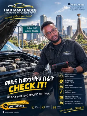 General Automotive Inspection and Advice