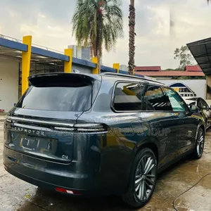 New Leapmotor C16 2025 Gray