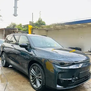 New Leapmotor C16 2025 Gray