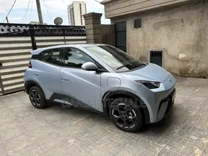 New BYD Seagull 2025 Blue