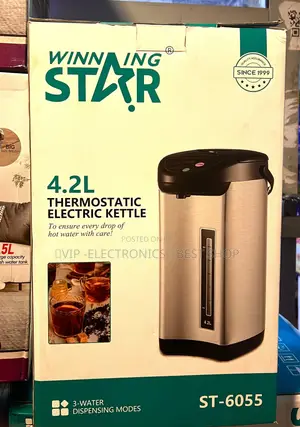 WINNING STAR Thermostatic Electric Kettle Water Dispenser 4.2L