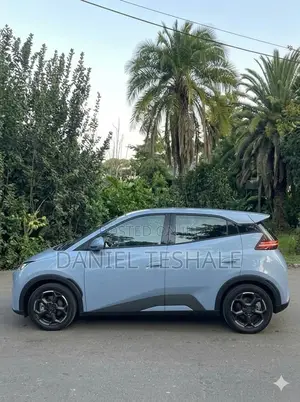 New BYD Seagull 2025 Blue