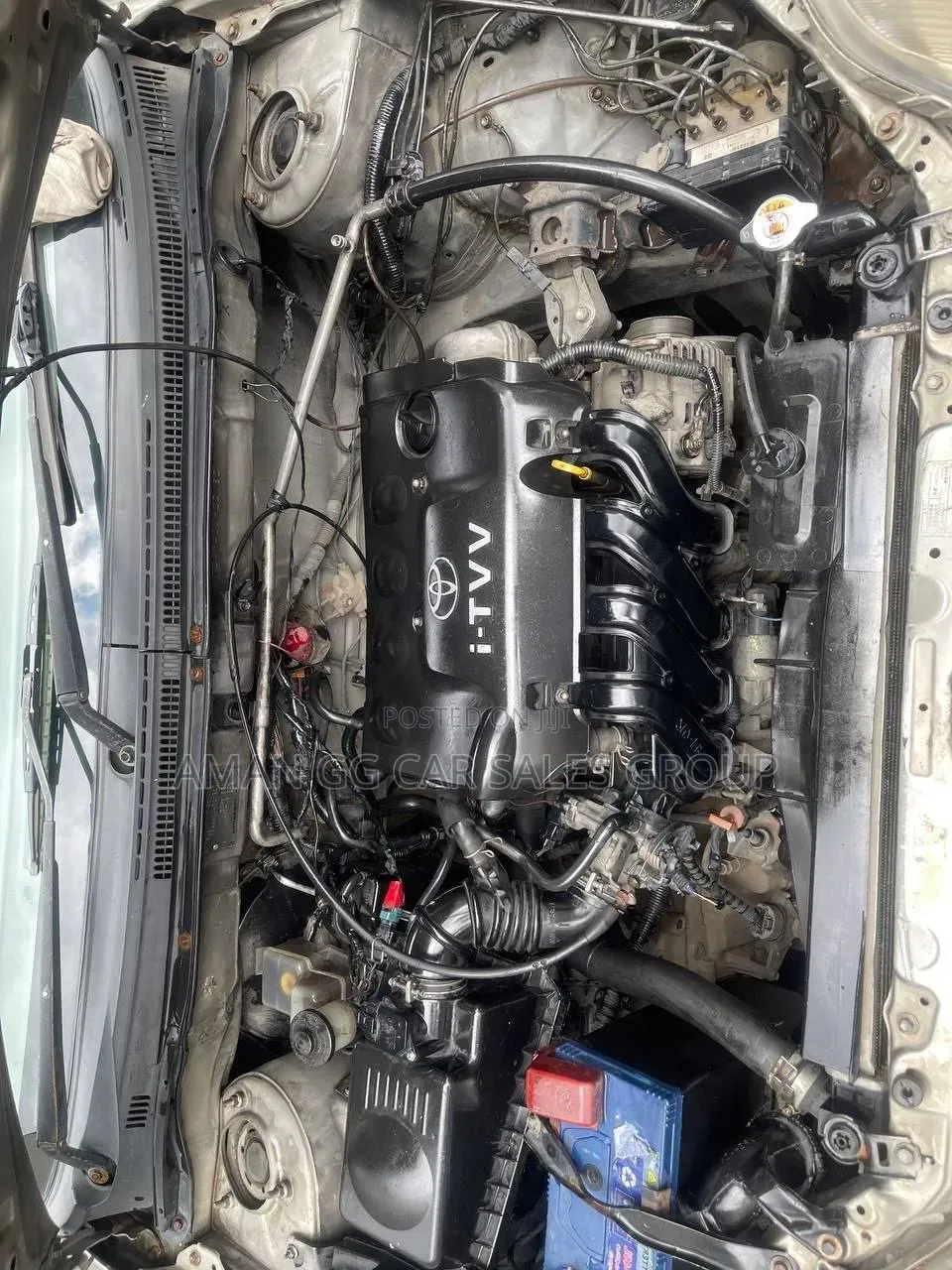 Toyota Corolla 2003 Pearl
