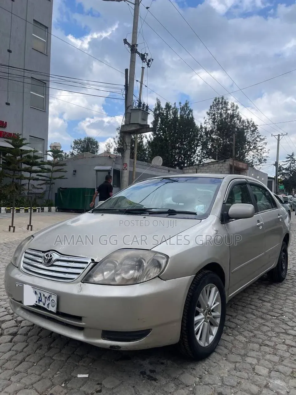 Toyota Corolla 2003 Pearl