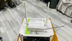 ZTE Router