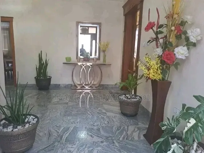 Furnished 9bdrm House in G+2, Bole for rent